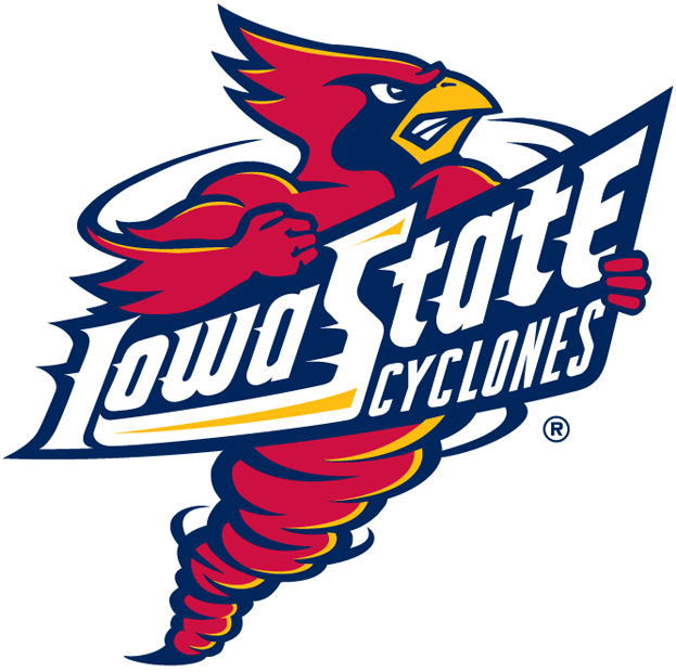 Iowa State Cyclones 1995-2007 Primary Logo diy iron on heat transfer
